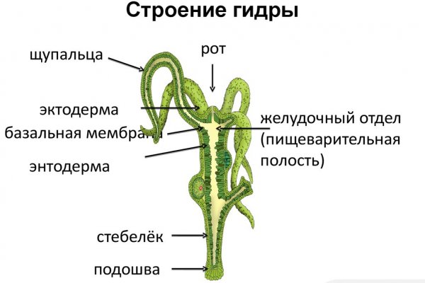 Забыл пароль кракен