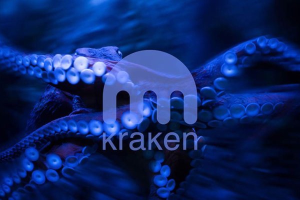 Современный маркетплейс kraken door